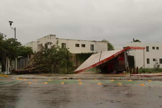 Algunos comerciantes tuvieron que dar fiado otros rentar plantas de energía para mantener sus productos