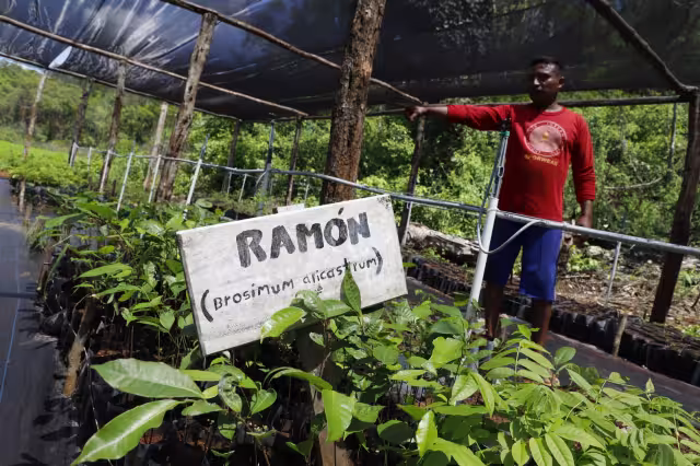 El objetivo de estos fondos es facilitar el acceso a préstamos por medio de operaciones de crédito y descuento