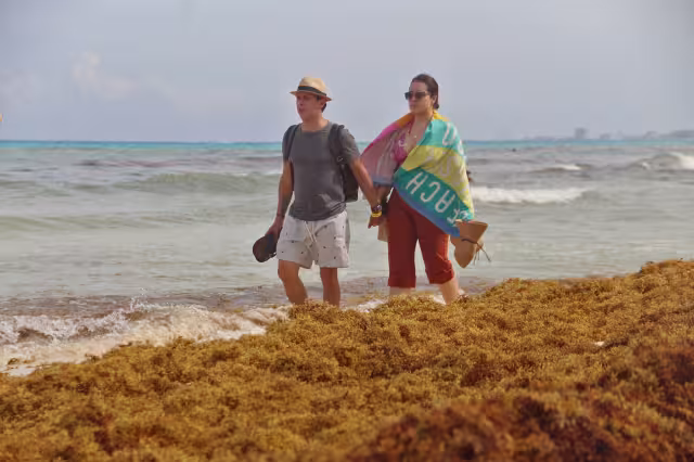 Los turistas pasean junto a los montículos de sargazo en algunas playas de Quintana Roo
