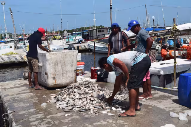 Solo podrán estar 12 pescadores por embarcación