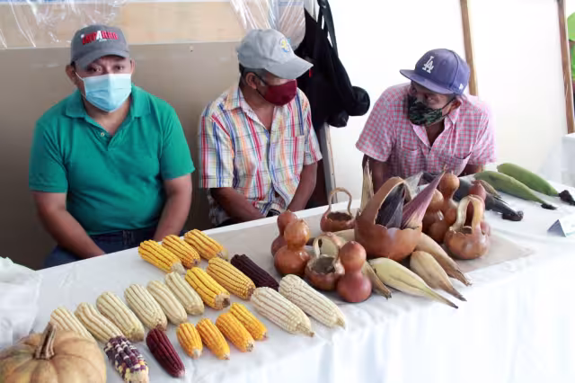 Los asistentes intercambiaron semillas de pepino, sandía, frijol, entre otros cultivos de la región que están a punto de desaparecer