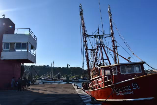 Peligran 40 embarcaciones de altura, cuya producción es equivalente a 50 millones de pesos una vez colocada en la Unión Americana