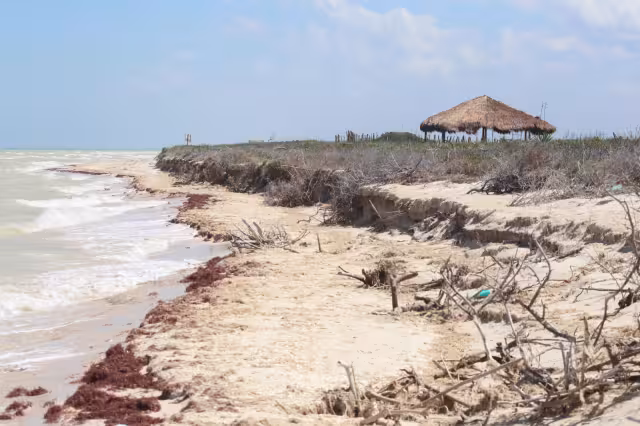 Aseguran que continuar el proyecto sólo acabará con la naturaleza
