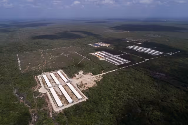 En la adjudicación irregular de más de 500 mil hectáreas en la península, están implicados políticos, funcionarios y empresarios