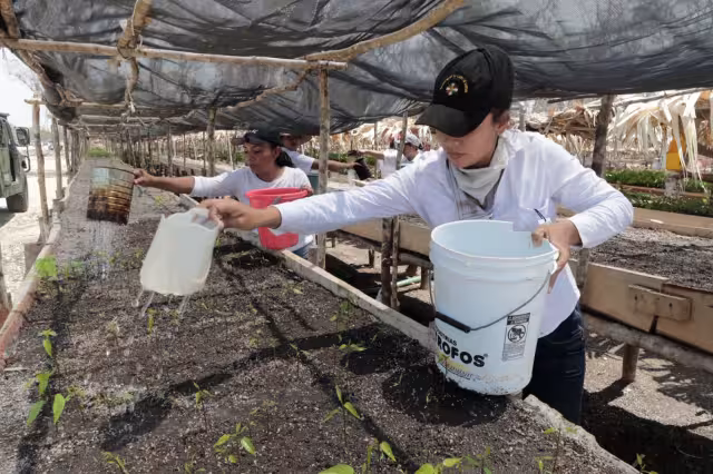 Presentan informe de avance de pensiones, becas y Programas para el Bienestar
