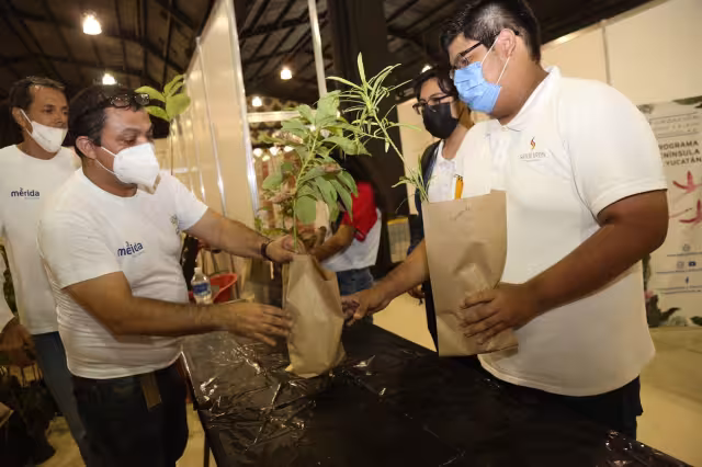 Durante la Expo Foro Ambiental de Mérida estarán regalando plantas