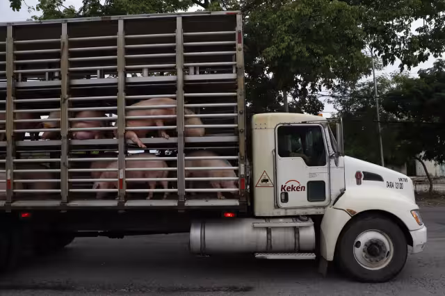 El conductor resultó con varios golpes