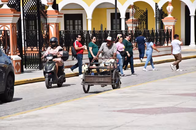 Intensificarán labores de fumigación en todo el Estado de Campeche