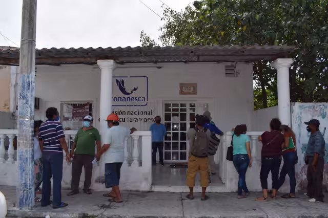 Casos como éste se han repetido desde mediados de la semana pasada