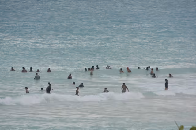 El sargazo es ya minimo en las playas de Cancún
