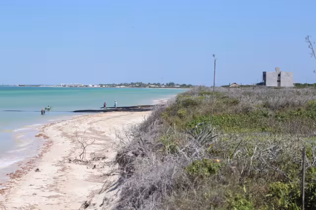 El proyecto carece de Manifestación de Impacto Ambiental, pero gracias al poder e influencia de estas personas está siendo posible