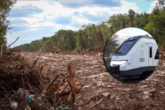 Los ingenieros de Playa del Carmen indicaron que pidieron colaborar con Fonatur para el nuevo trazo del Tren Maya, pero no recibieron respuesta