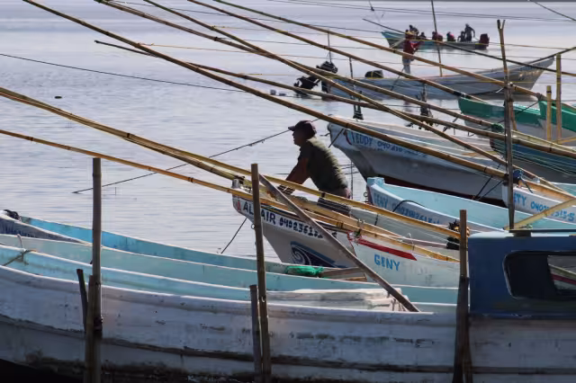 La sobrepesca y la pesca ilícita ponen en riesgo la abundancia de los mares de México, donde cuatro de cada 10 especies presentan algún grado de daño