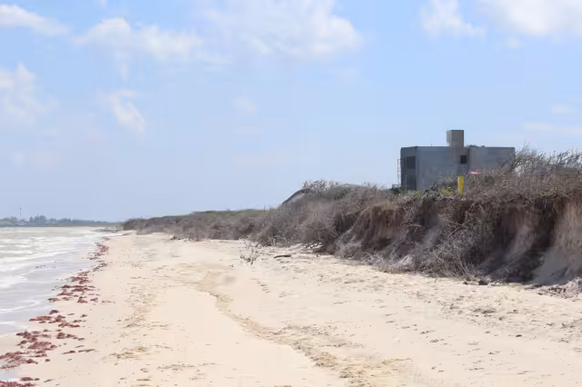 El 29 de enero de 1990, por el Acuerdo 35, publicado en el Diario Oficial de la Federación se delimitó la Reserva de El Palmar