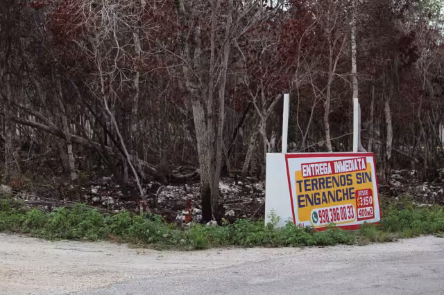 En Benito Juárez se inició un operativo para su detección, por carecer de un Plan de Desarrollo Urbano