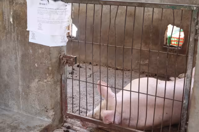 Más de 500 pobladores fueron intoxicados en el llamado “domingo negro” en Seyé