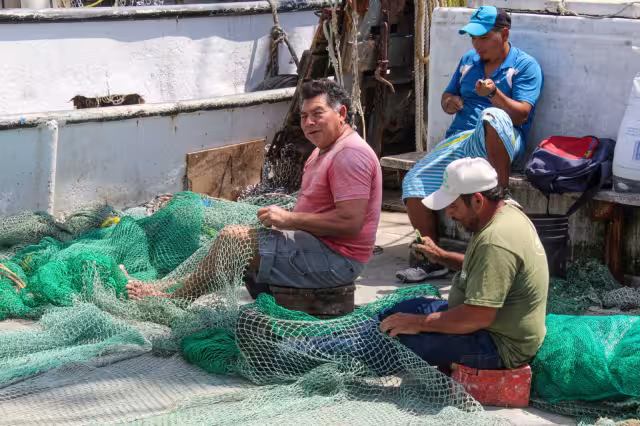 Los pescadores buscan la forma de sobrevivir ante las restricciones de captura de las especies