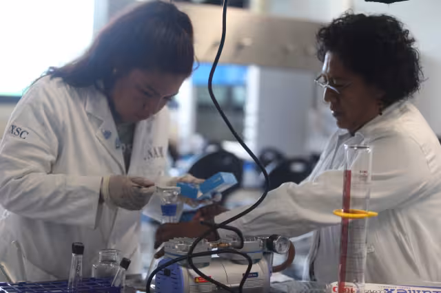 El sexo femenino “domina” en especialidades y maestrías, aunque aún se encuentran muy relegado en carreras de técnico superior y doctorado