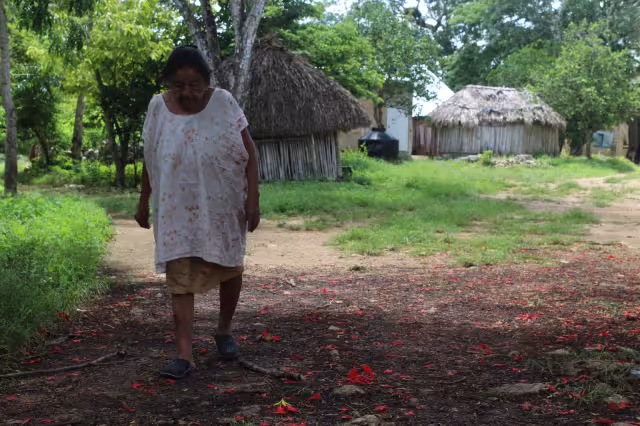 50 comunidades indígenas han presentado demandas ante los enlaces del Tren Maya
