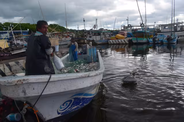 Trabajadores del embarcadero “La Caleta” constatan que más de la mitad de los casi 200 que atracan en el sitio, no tienen la pesca como actividad principal