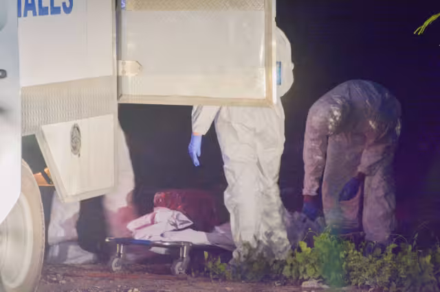 Los restos humanos fueron encontrdos en una área verde