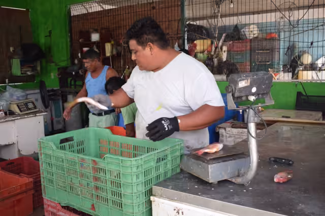 Actualmente enfrentan por el mal tiempo fuertes marejadas que difi cultan la actividad