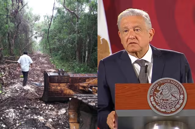 AMLO recordó que en Cancún vendieron hectáreas de manglares cuando Vicente Fox fue Presidente de México