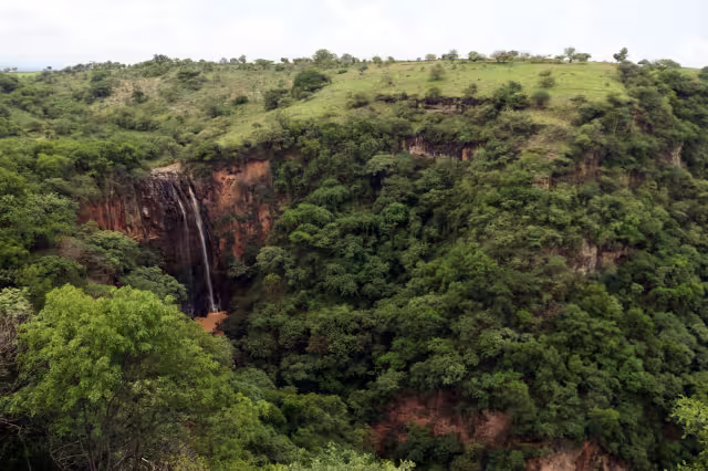 El estudio, publicado en la revista Science, involucró a investigadores del CICY, la Universidad de Wageningen, en Países Bajos, y la Universidad Mayor, en Chile