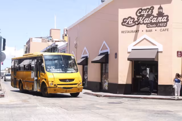 Después del desfile los paraderos regresarán a la normalidad