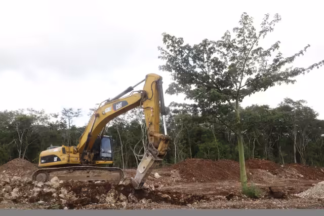 El proyecto afectará a la Península y zonas de Chiapas