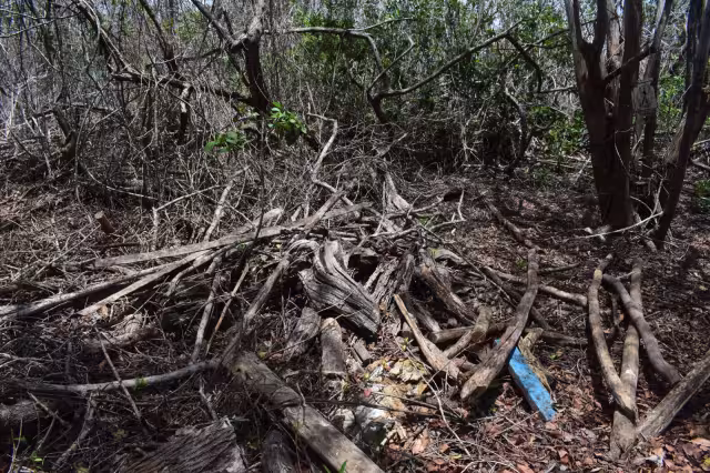 Fotos: Jesús López