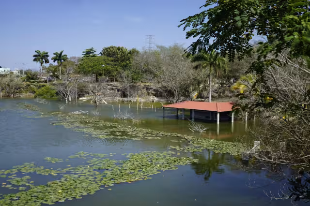 Un aproximado de 2 metros de altura de agua es lo que falta por retirarse del espacio afectado. En la zona no hay ninguna vigilancia de guardaparques