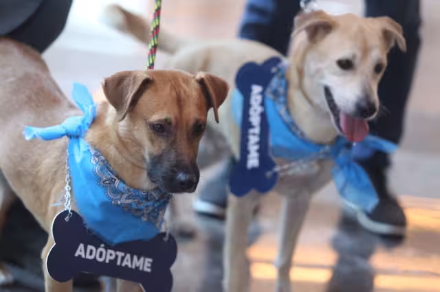 El hospital tendrá una inversión de 15 millones de pesos