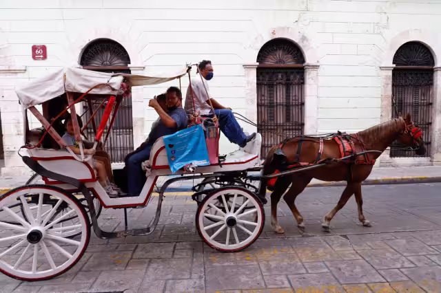 Se proponen mejorar las condiciones de las calesas