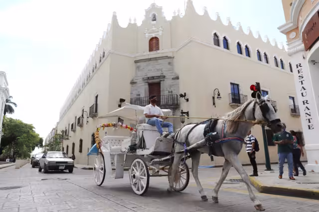 "Debemos adaptarnos a esta nueva normalidad" - Presidente de AMHY