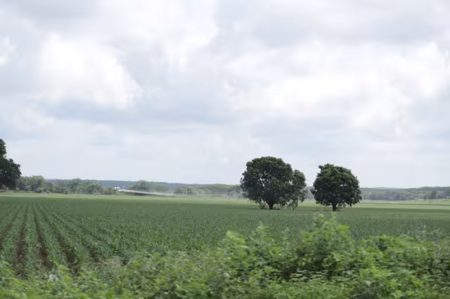 La fumigación vía aérea fue evitada en Campeche