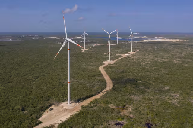 Actualmente se ha entablado conversación con 55 grupos de impulsores extranjeros y nacionales