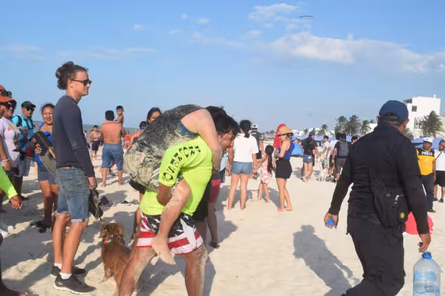 La mujer tuvo que ser auxiliada por paramédicos y trasladada a un hospital