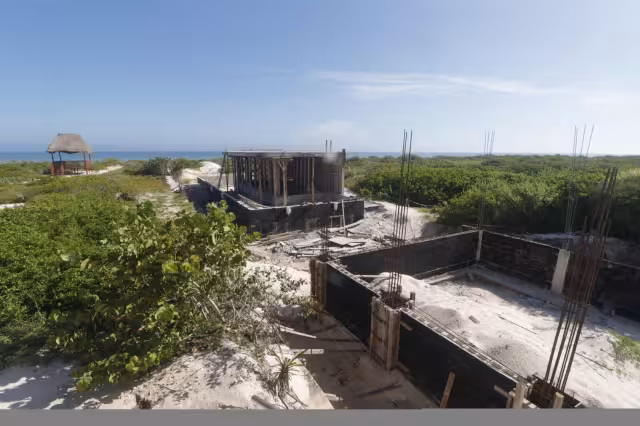 La empresa ha deforestado los árboles en el manglar de Chuburná