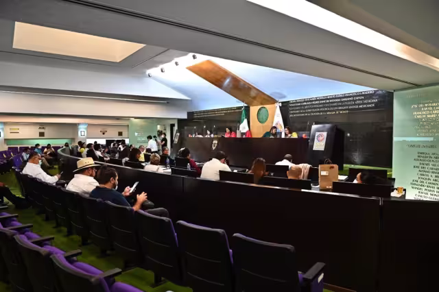 Ricardo Medina Farfán, titular del PRI, acusa que beneficia a delincuentes