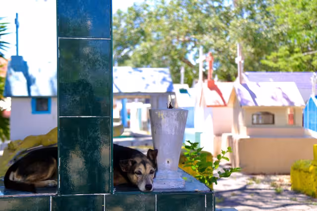 El panteón municipal tuvo pocas visitas esta mañana