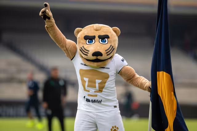 Pumas regresa a la cancha tras goleada de Santos Laguna