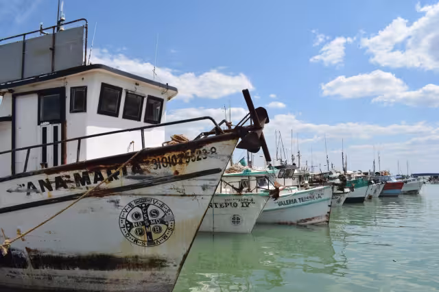 Durante esta temporada se espera que se pueda superar la meta de regresar a tierra con seis mil toneladas de escama