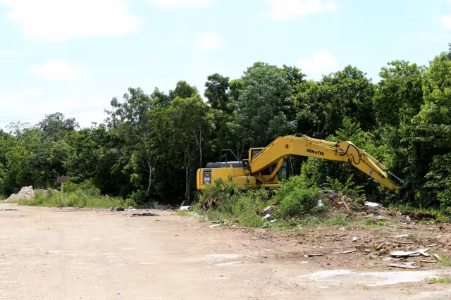 El crecimiento de la población también provocó la construcción de desarrollos habitacionales en Cancún, deforestando la selva