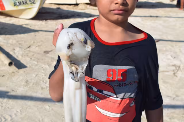 Niños son usados para cargar la captura, entre ellas el pulpo