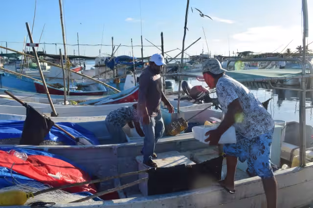 Las 900 lanchas y barcos pequeños de Progreso realizan inversiones que suman los 9 millones de pesos