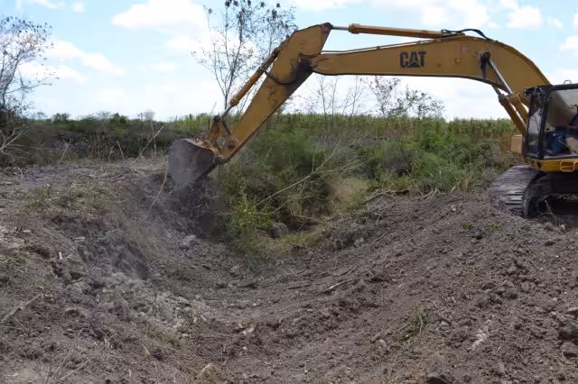 El área deforestada en el municipio de Othón P. Blanco, al sur de Quintana Roo, mide alrededor de 240 kilómetros cuadrados