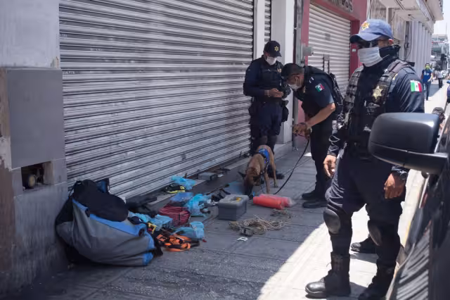 La mayoría de los decomisos se ha dado en compañías de paquetería