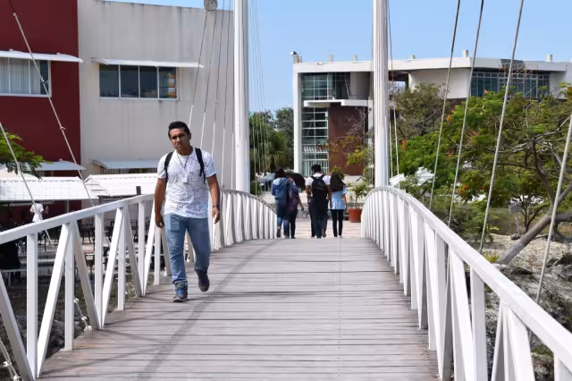 Algunos jóvenes informaron que para controlar su ansiedad consumían comida chatarra