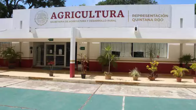 Exigen saber qué ocurrió con el Centro de Negocios Ganaderos de Quintana Roo